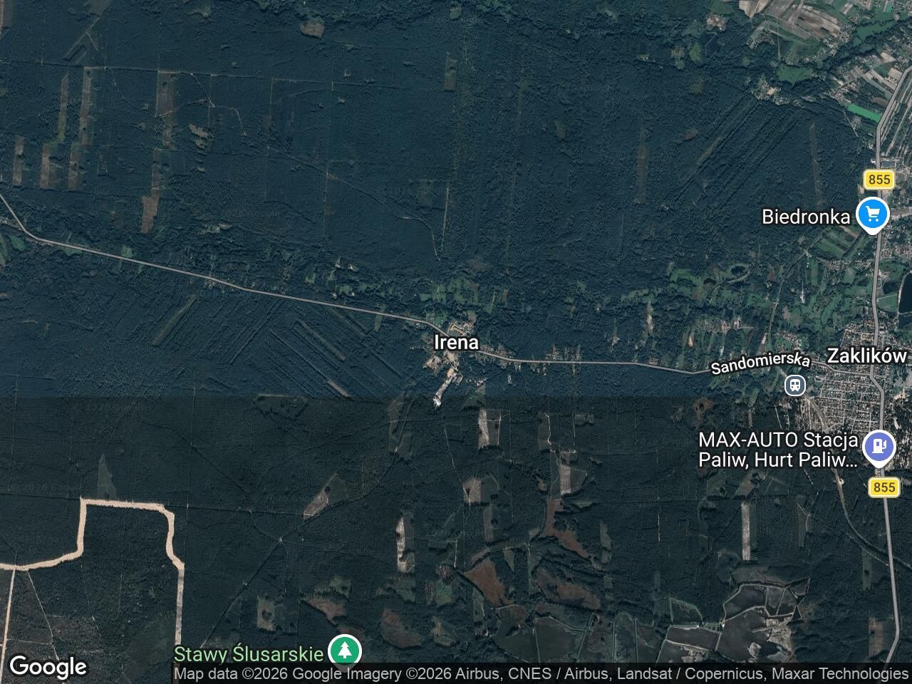 Działka leśna Irena. Zdjęcie 1