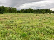 Działka budowlana Czerwonka-Parcel. Zdjęcie 4