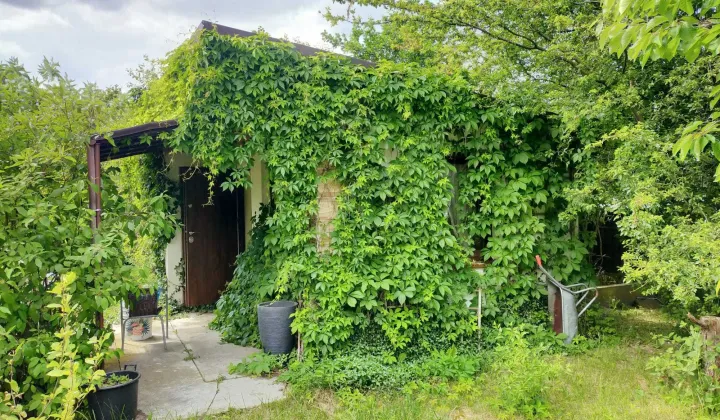 Działka rod Łódź Polesie, ul. Janusza Kusocińskiego
