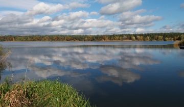 Działka leśna Józefina Murowaniec, Murowianiec