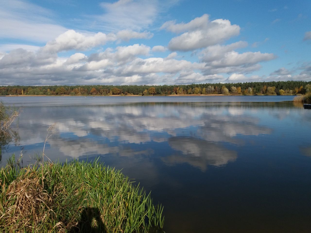 Działka leśna Józefina Murowaniec