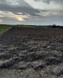 Działka budowlana Piotrowice Świdnickie. Zdjęcie 4