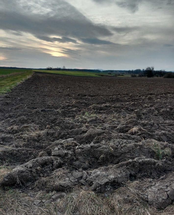 Działka budowlana Piotrowice Świdnickie. Zdjęcie 5