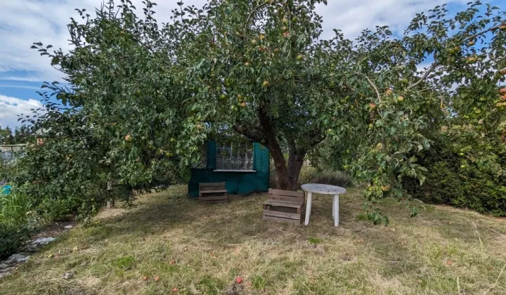 Działka rod Gdańsk Orunia