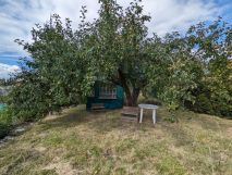 Działka rod Gdańsk Orunia