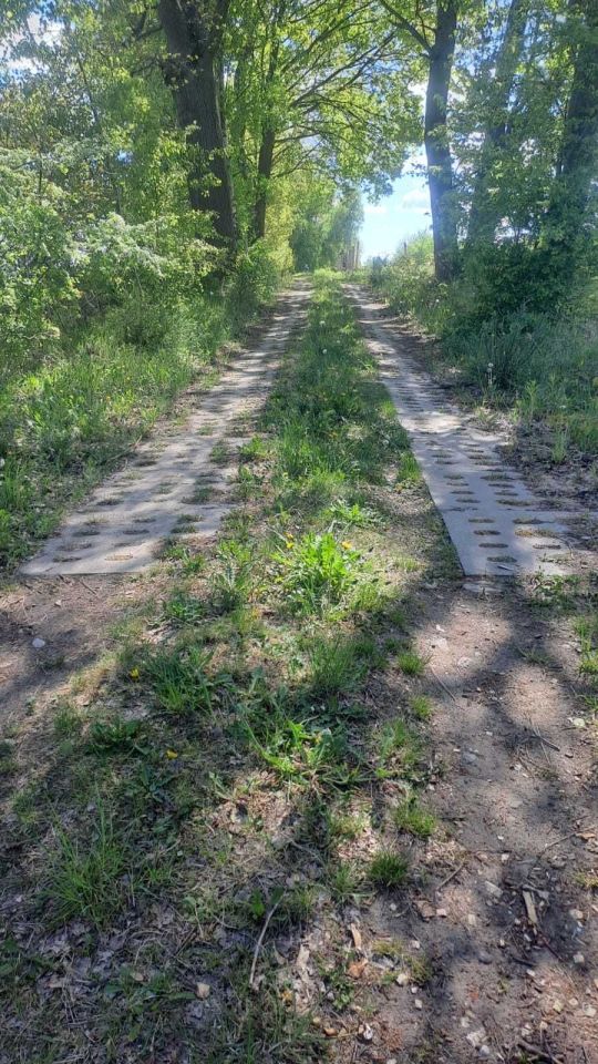 Działka budowlana Budno. Zdjęcie 4