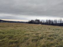 Działka rolno-budowlana Hermanowa