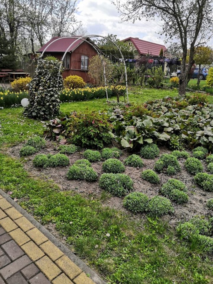 Działka budowlana Strzyżów. Zdjęcie 6