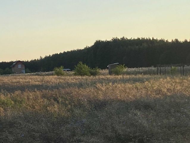 Działka rekreacyjna Popielżyn-Zawady. Zdjęcie 1