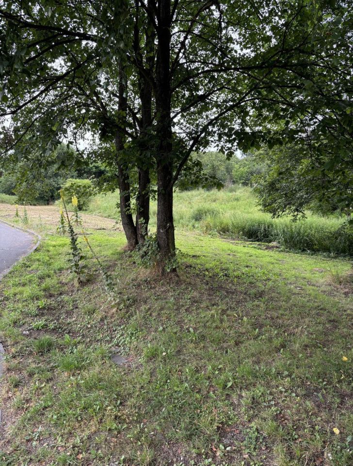 Działka budowlana Sławków, ul. Kabania. Zdjęcie 6