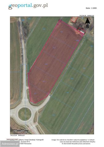 Działka inwestycyjna Dębówka. Zdjęcie 1