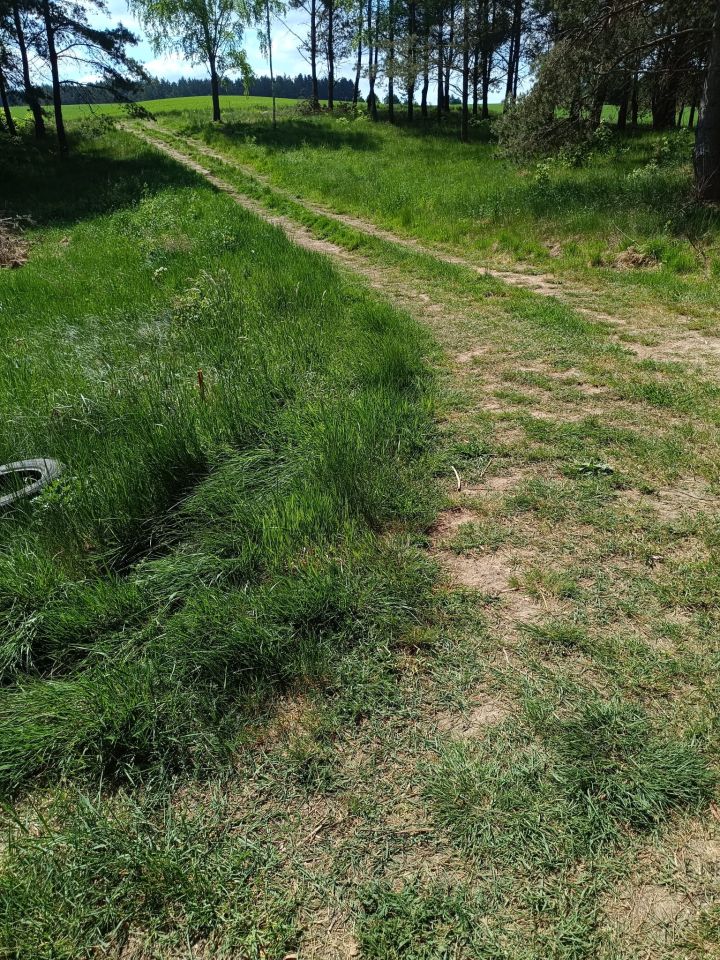 Działka rolna Lipy. Zdjęcie 3