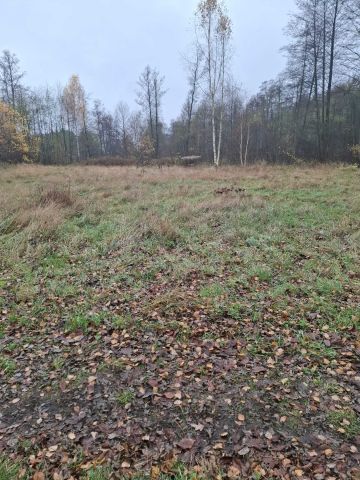 Działka rolna Kletnia. Zdjęcie 1