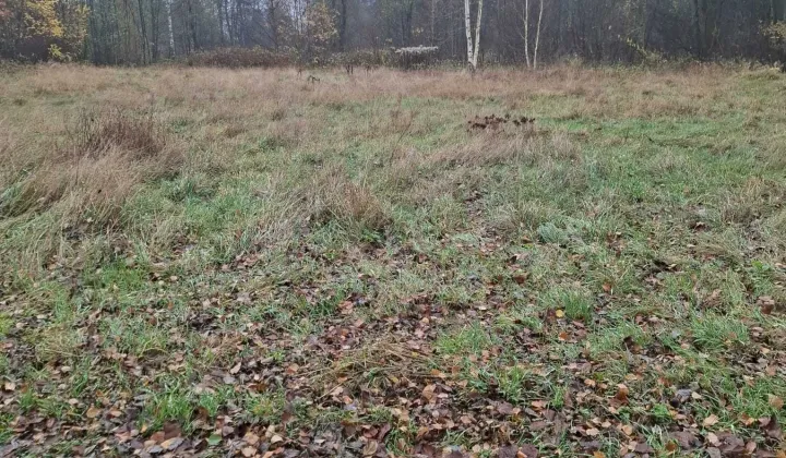 Działka rolna Kletnia