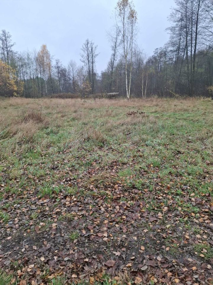 Działka rolna Kletnia. Zdjęcie 1