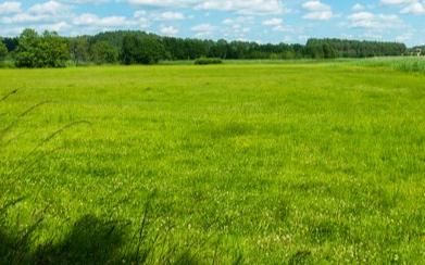 Działka budowlana Wołomin, Przejazd Kolejowy Wołomin. Zdjęcie 1