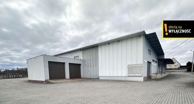 Hala/magazyn Racibórz, ul. Podmiejska. Zdjęcie 4