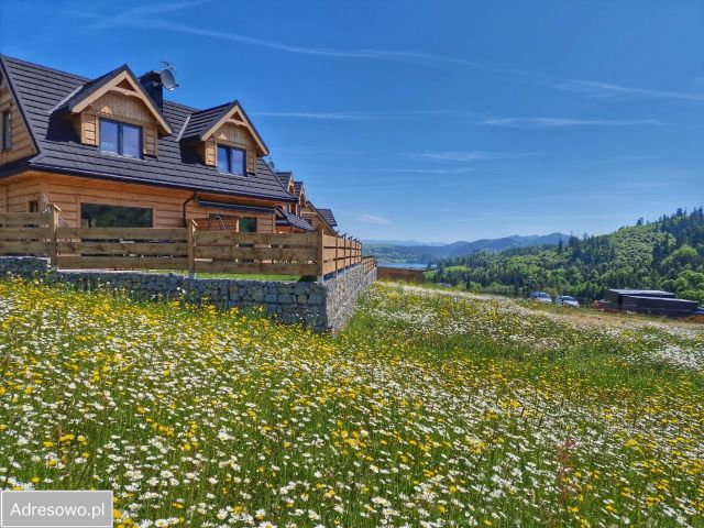 Lokal Falsztyn. Zdjęcie 1