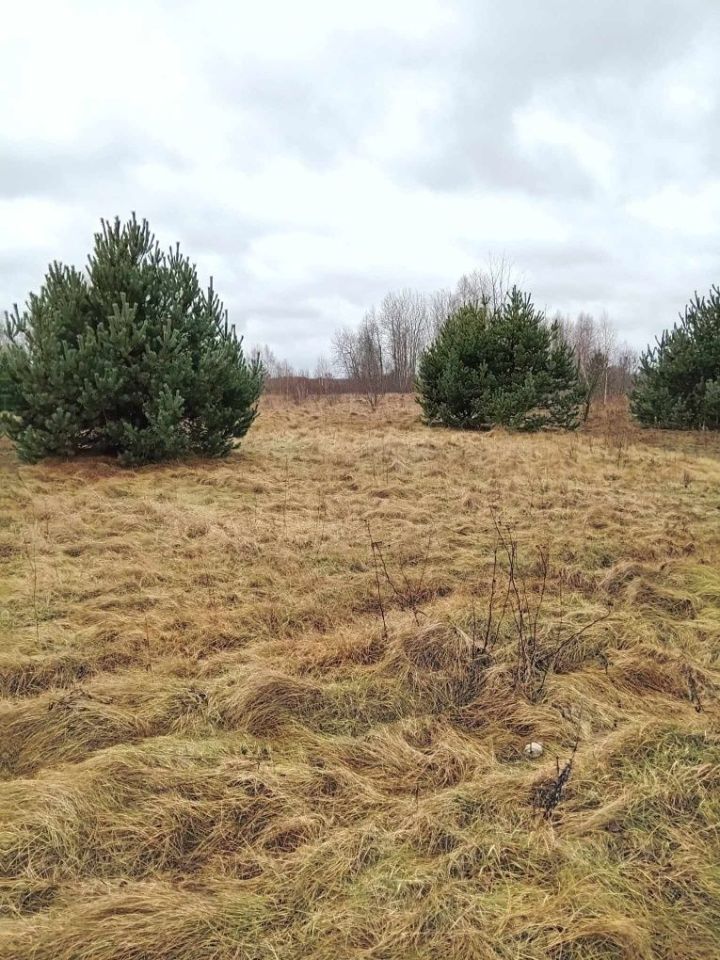 Działka rolna Nowe Kozłowice. Zdjęcie 3