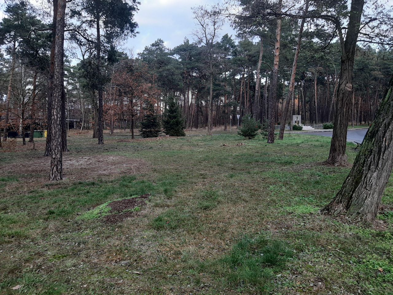 Mieszkanie 5-pokojowe Tomaszowo, ul. Osiedlowa. Zdjęcie 3