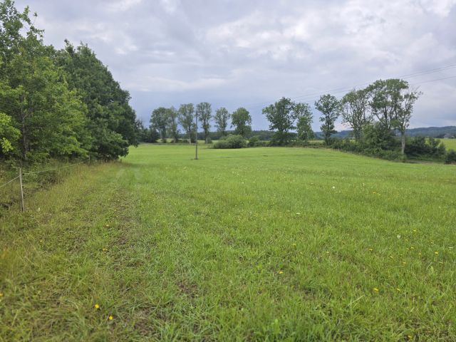 Działka budowlana Wilnowo. Zdjęcie 1