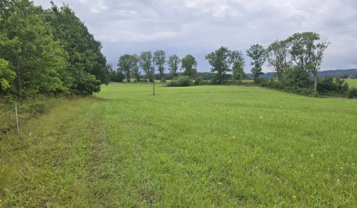 Działka budowlana Wilnowo