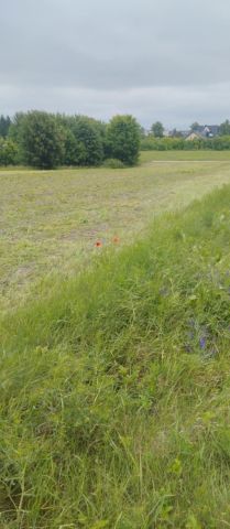 Działka budowlana Tokarnia. Zdjęcie 1