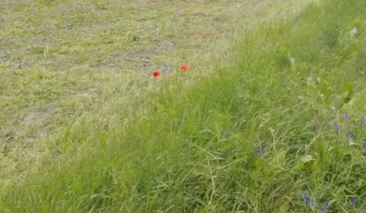 Działka budowlana Tokarnia