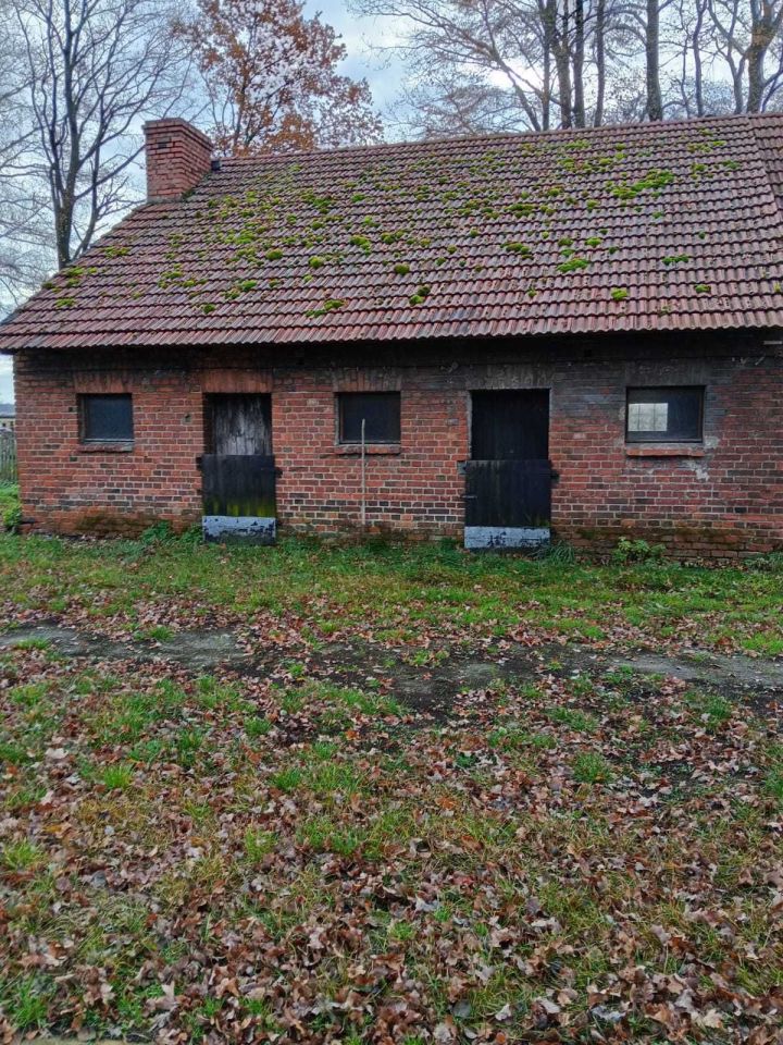 dom wolnostojący, 3 pokoje Molna. Zdjęcie 3