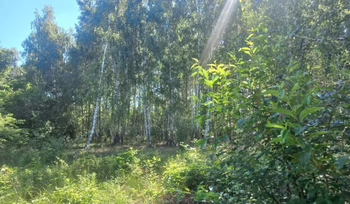 Działka budowlana Jesionka