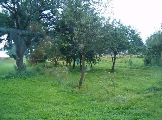 Działka rolno-budowlana Kitów. Zdjęcie 9