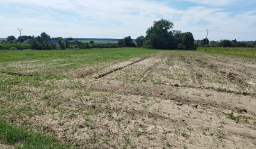 Działka rolno-budowlana Koza Wielka