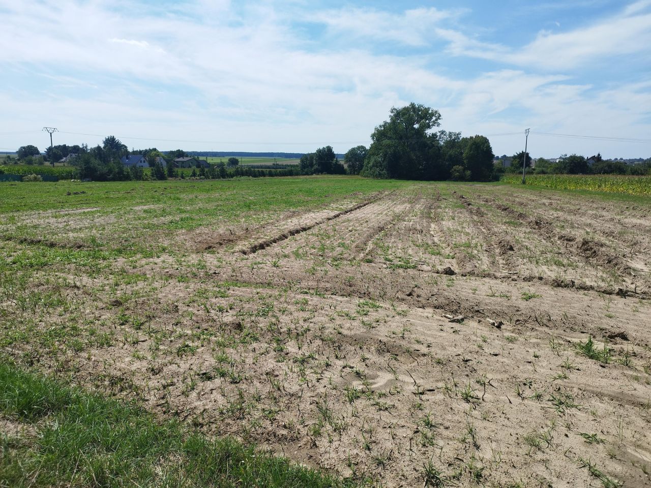 Działka rolno-budowlana Koza Wielka. Zdjęcie 2