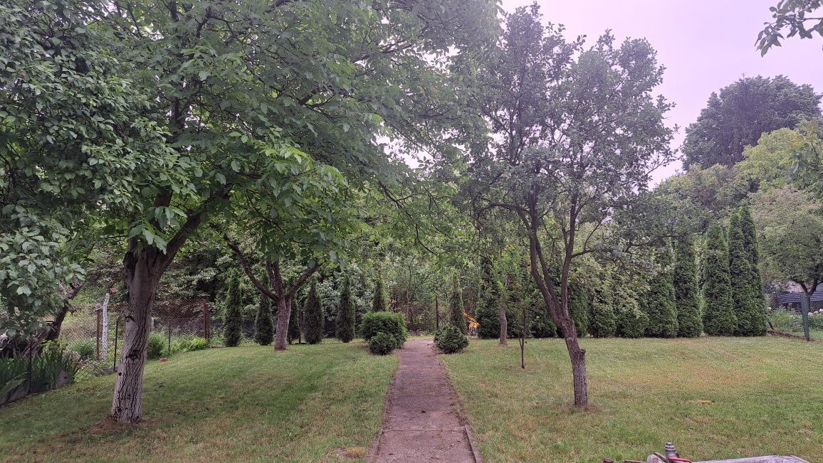 Działka rod Czeladź Kolonia Małobądz. Zdjęcie 3