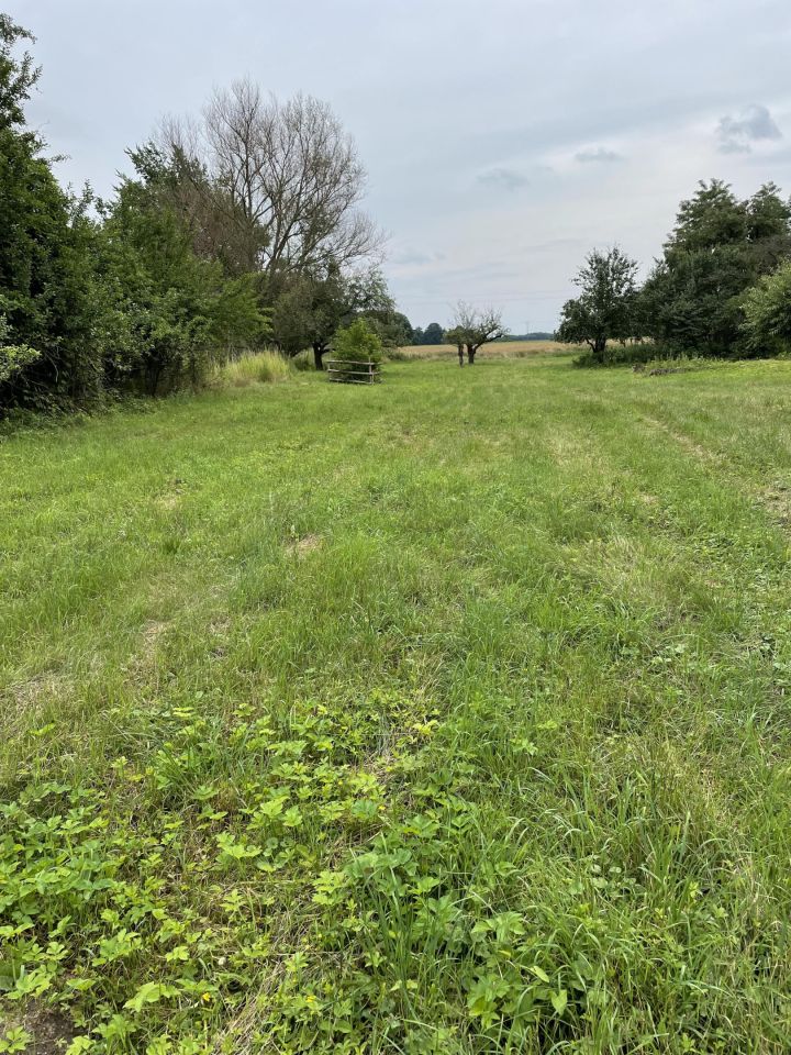 Działka inwestycyjna Kaszyce Wielkie Gąski. Zdjęcie 3