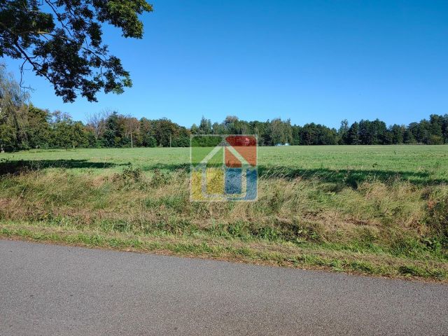 Działka rolna Zaborów Nowy. Zdjęcie 1