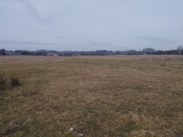 Działka rolna Żelechów. Zdjęcie 1