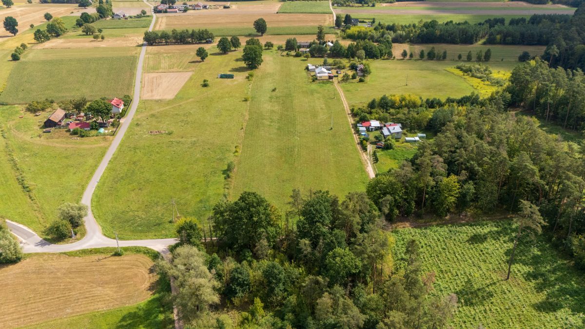 Działka budowlana Psucin, ul. Leśna. Zdjęcie 7