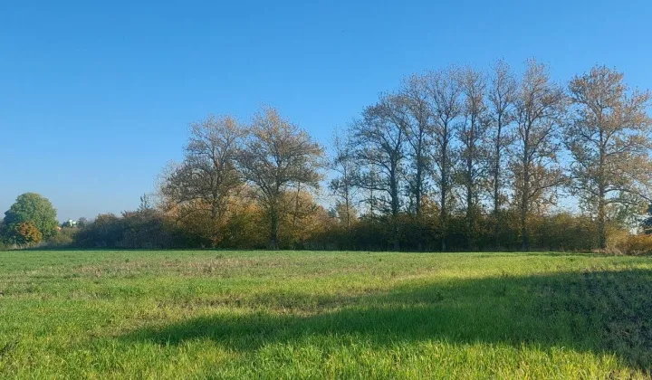 Działka rolna Darłowo