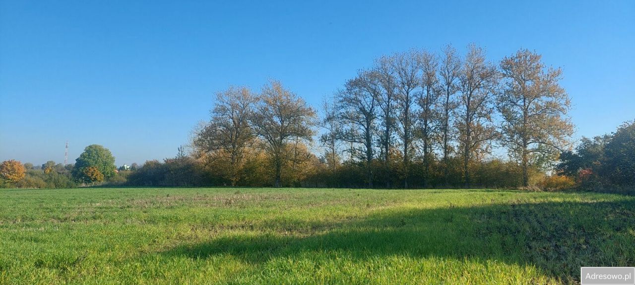 Działka rolna Darłowo