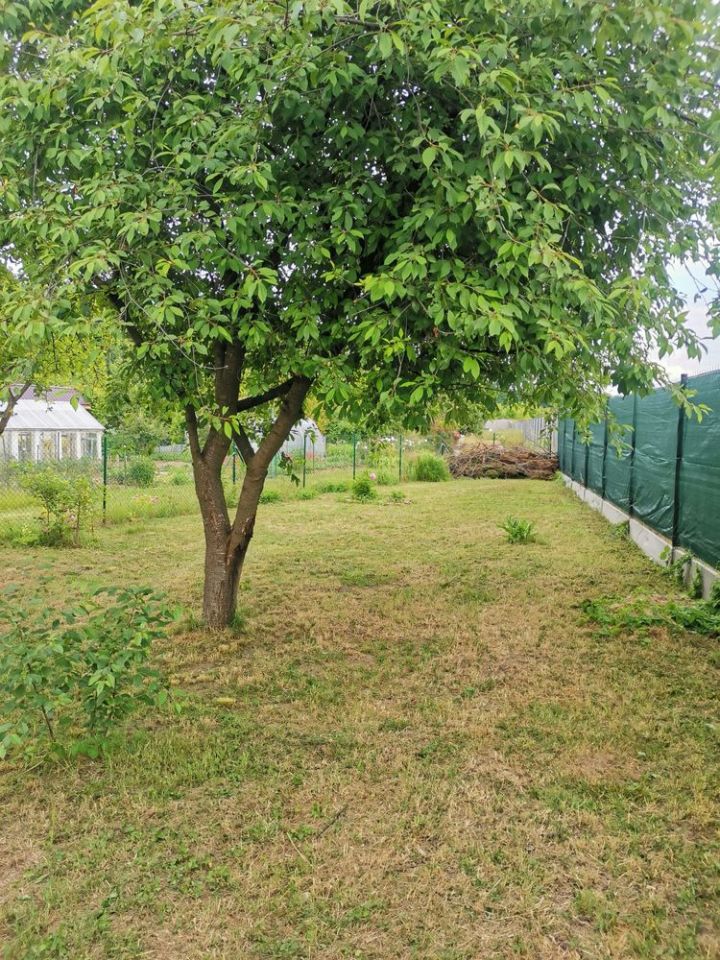 Działka rod Wrocław Sołtysowice. Zdjęcie 2