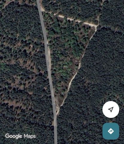 Działka leśna Telążna Leśna. Zdjęcie 1