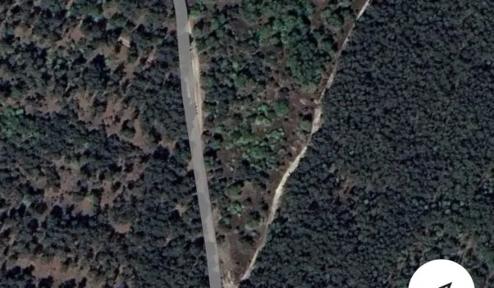 Działka leśna Telążna Leśna