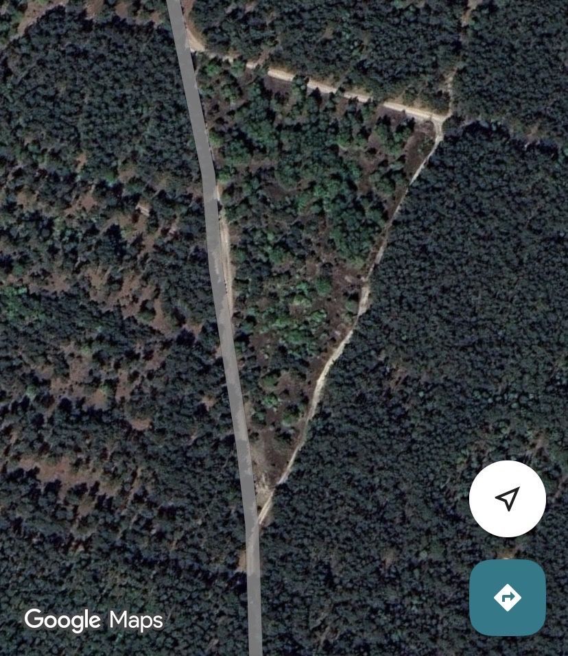 Działka leśna Telążna Leśna. Zdjęcie 1