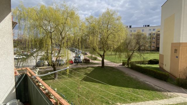 Mieszkanie 1-pokojowe Kielce Uroczysko, ul. Klonowa. Zdjęcie 30