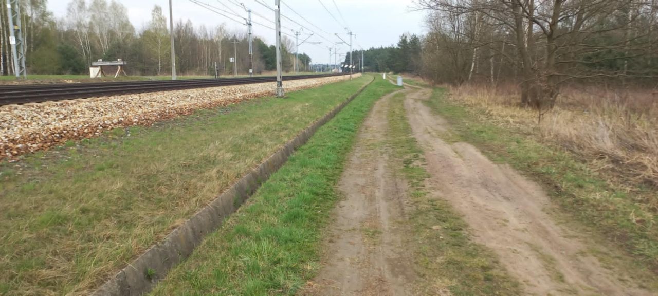 Działka rolna Skierniewice Rawka, ul. Bohaterów Westerplatte. Zdjęcie 5