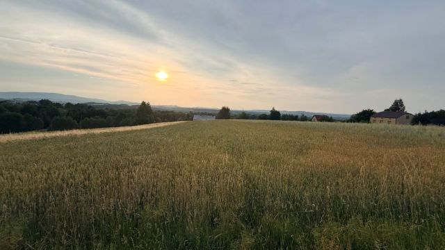 Działka budowlana Dominikowice. Zdjęcie 1