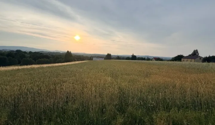 Działka budowlana Dominikowice