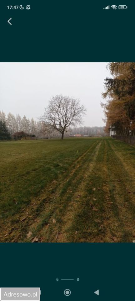 Działka budowlana Elżbiecin. Zdjęcie 4