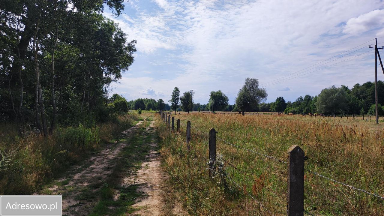 Działka rolna Secymin Polski. Zdjęcie 11
